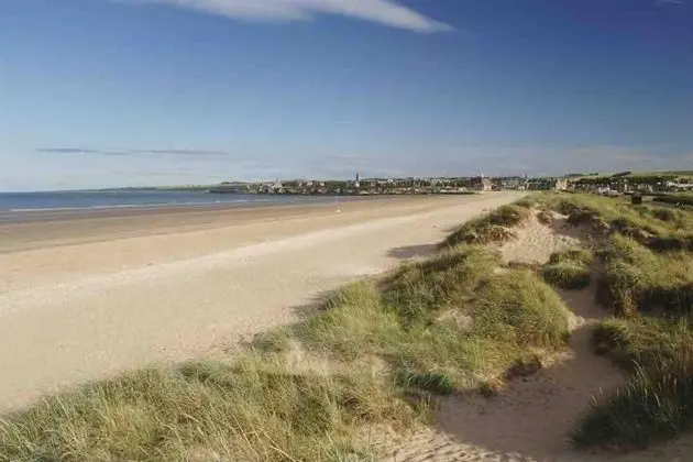 Lovely 2-bed House in St Andrews, Scotland - Plaj