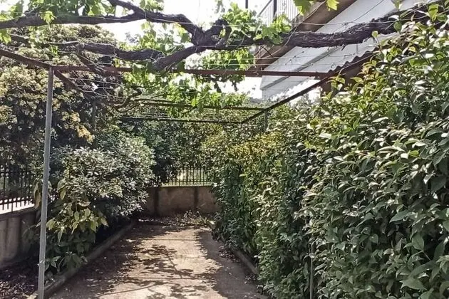 Lovely 2-bedroom Villa in Akrata, all Seasons! - Dış Mekan