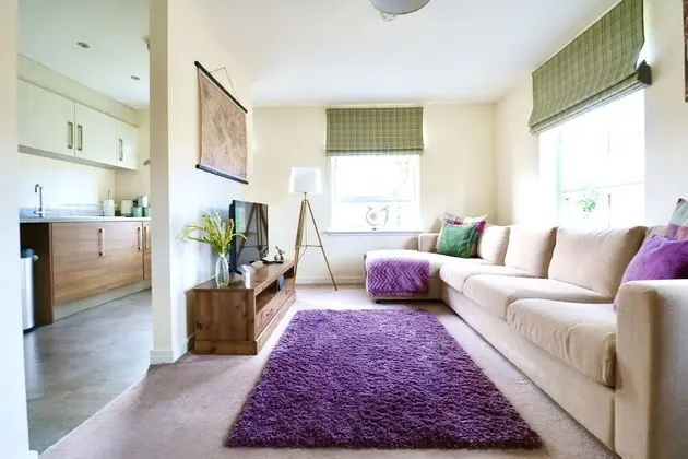 Lovely 2 Bedroom Apartment in Glasgow - Oda Düzeni