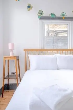 Lovely 3 Bedroom Apartment in Clapton With Garden