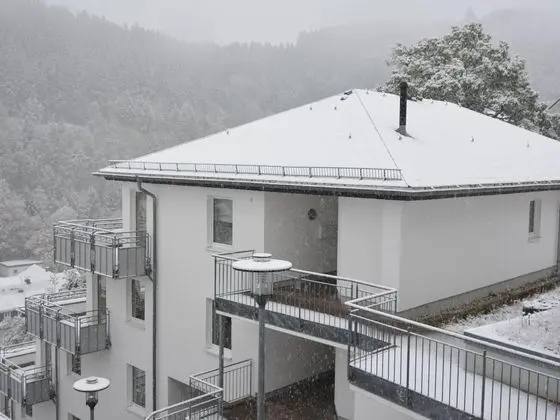 Lovely Apartment with Balcony in Willingen near Ski Lift - Dış Mekan