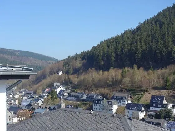 Lovely Apartment with Balcony in Willingen near Ski Lift - Konum Öne Çıkanlar
