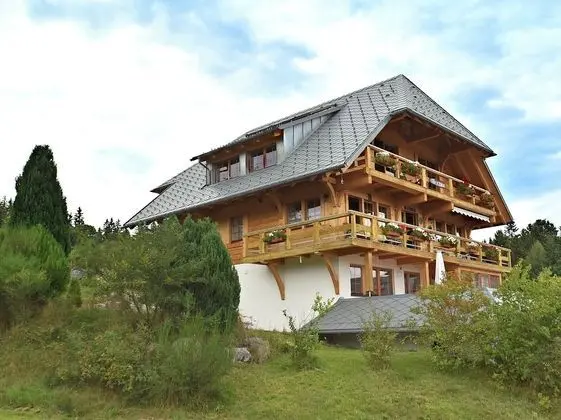 Lovely Apartment in Dachsberg-urberg With Roof Terrace