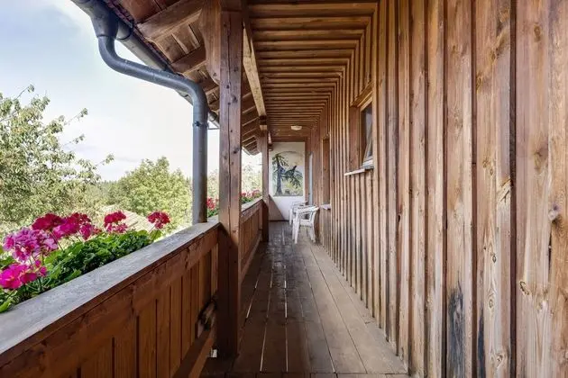 Lovely Farmhouse Apartment Near the ski Area in Neukirchen - Öne Çıkan Resim
