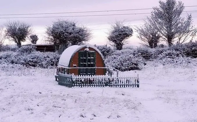 Lovely Glamping Dream Pod in St Austell, Cornwall - Dış Mekan