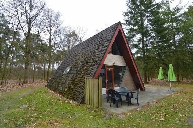 Lovely Holiday Home in Limburg Amid Lush Forest - Öne Çıkan Resim