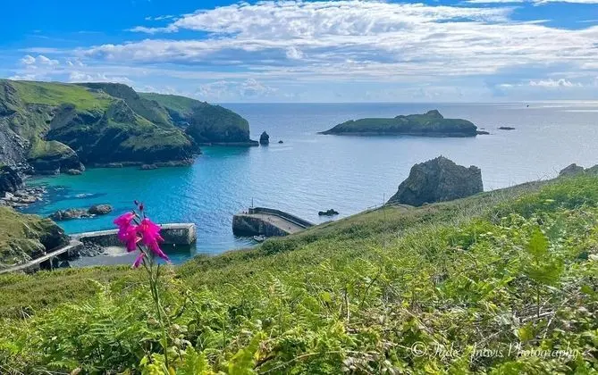 Lovely Holiday Home nr Kynance Cove - Plaj