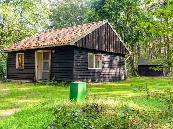 Lovely Holiday Home in Rheezerveen, in the Woods of Estate