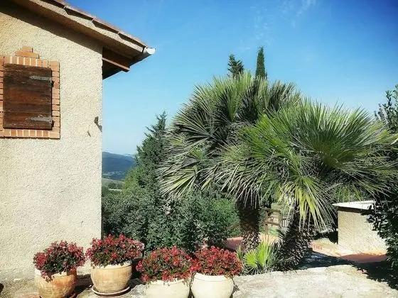 Lovely Holiday Home in Sasso Pisano With Swimming Pool