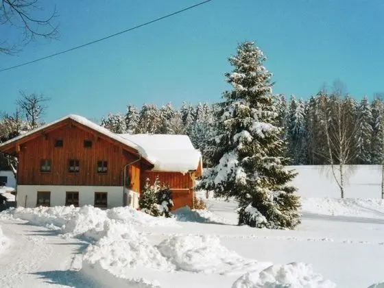 Lovely Holiday Home in Viechtach near Forest