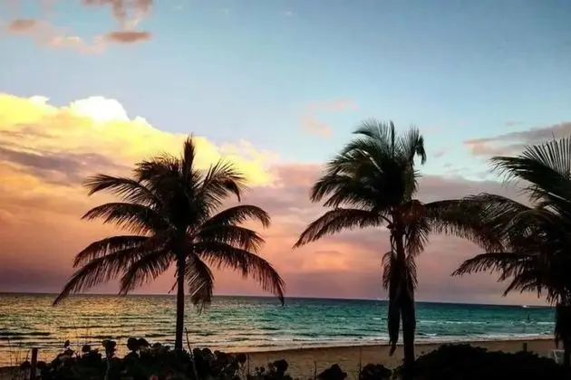 Lovely Little Studio With Pool, Hallandale Beach:) - Plaj