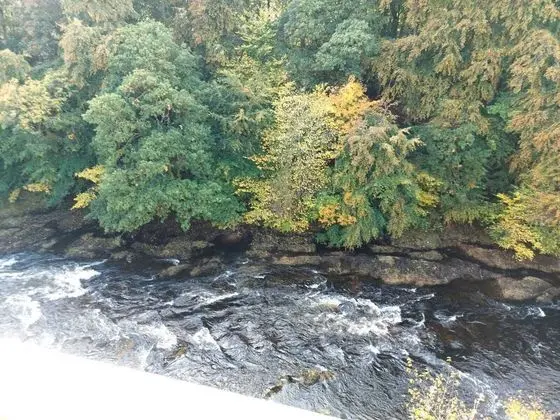 Lovely Riverside Perthshire Flat - Sleeps 8 - Genel