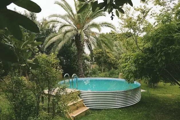 Lovemore Lodges Knysna - Dış Mekanlar