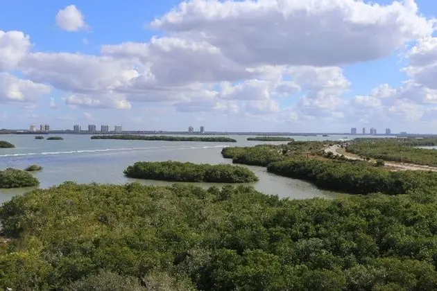 Lovers Key Resort 908 - Fitness
