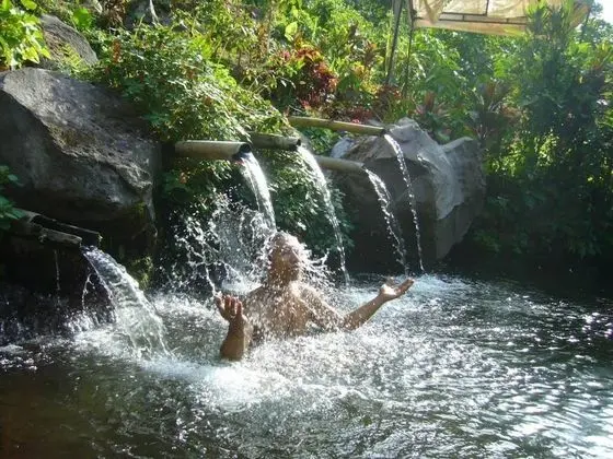 Lovina Central Hostel - Havuz