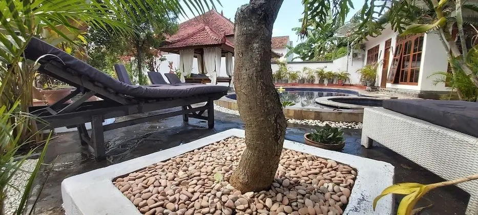Lovina Vibes Hotel