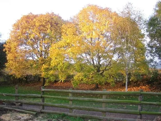 Lowe Farm - Bed & Breakfast Leominster - Dış Mekan