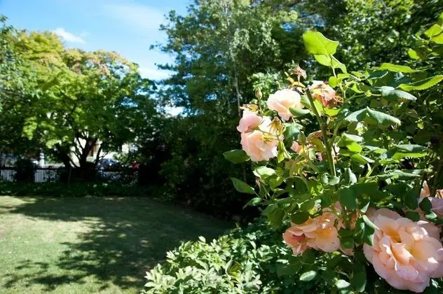 Lowena Cafe and Accommodation - Dış Mekan