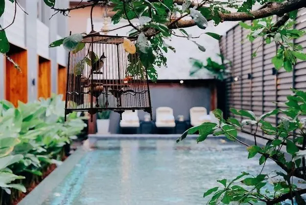 Hotel Loy Chiang Mai - Havuz
