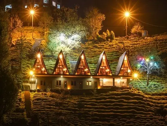 Loya Butik Otel - Bungalow - Genel