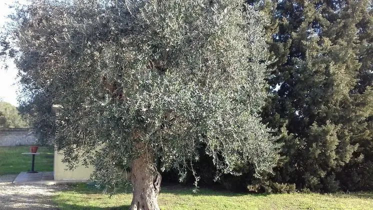 Lu Casale - Dış Mekan