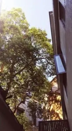 Lu Shu Homestay - Dış Mekan