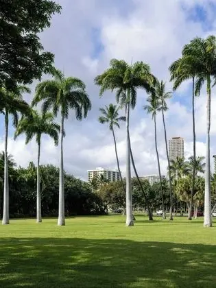 Luana Waikiki Hotel & Suites - Plaj