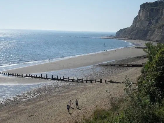 Luccombe Manor Country House Hotel - Plaj