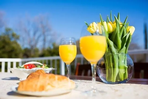 Villa Luce Konavoka - Three Bedroom Villa With Terrace and Swimming Pool ID Direct Booker 3845