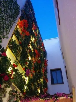 Lucero 12 Marbella Hostal Boutique - Dış Mekan