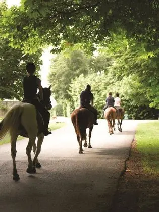 Lucknam Park