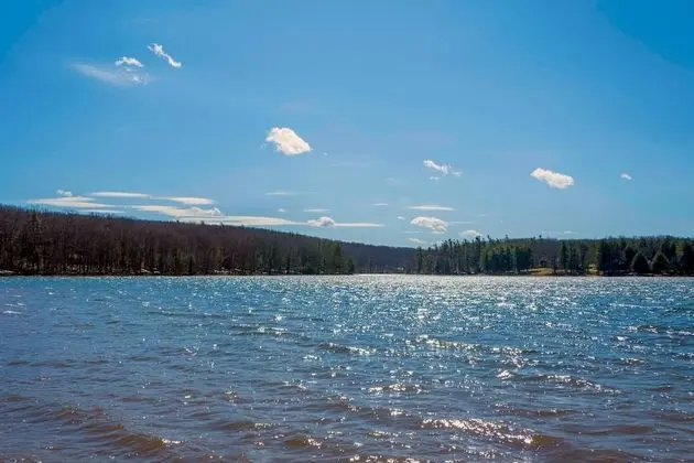 Lucky Bear Lakeside - Havuz