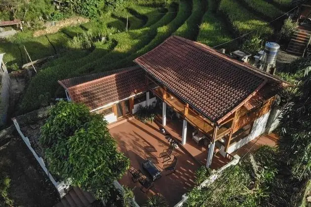 Lucky Daisy Buffalo House