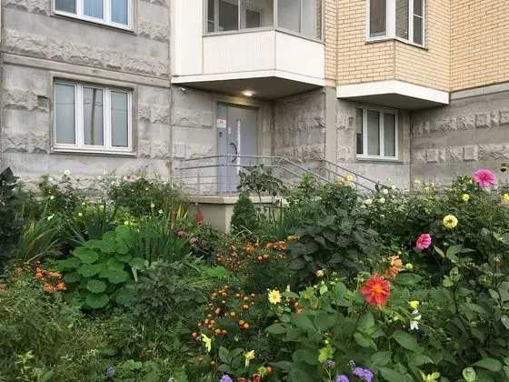 Lucky People Hostel