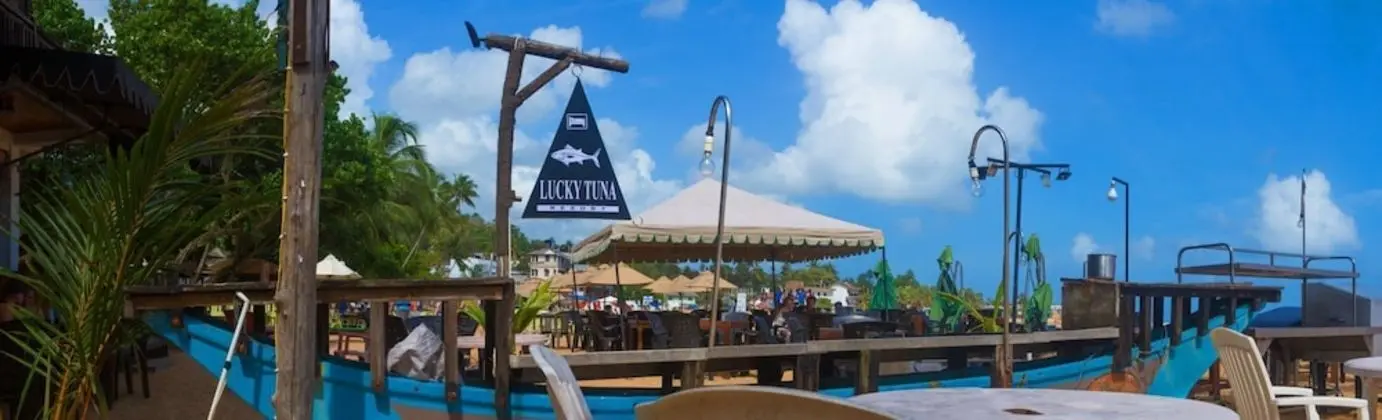 Lucky Tuna