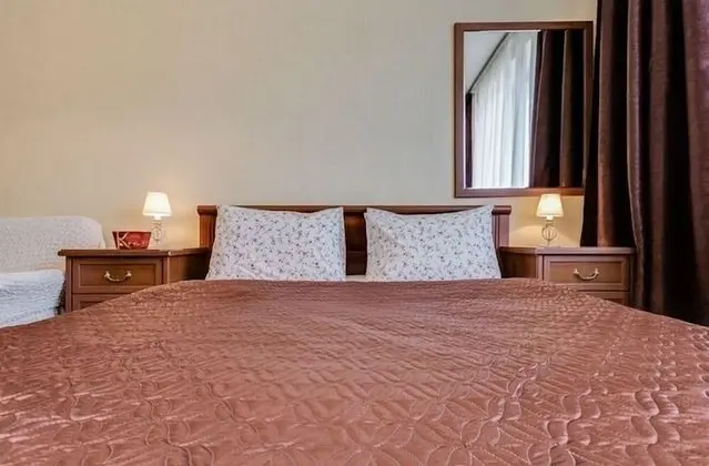 Ludwig Apartments Bolshaya Puskarskaya - Oda