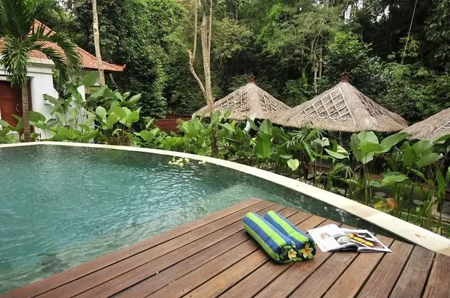 The Luku Boutique Villa and Gallery - Havuz