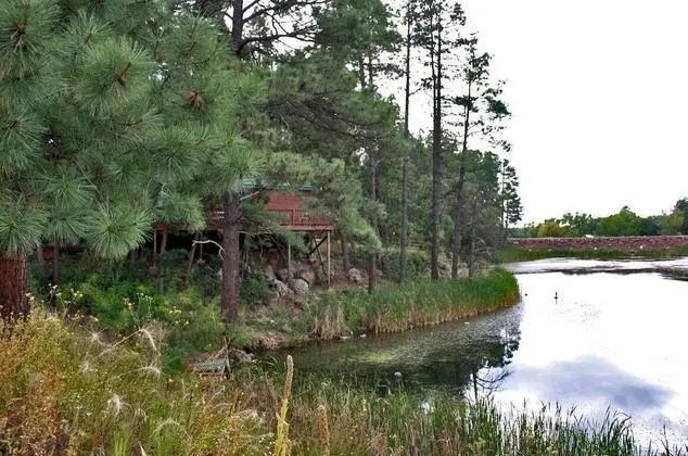 Lumbermens Village
