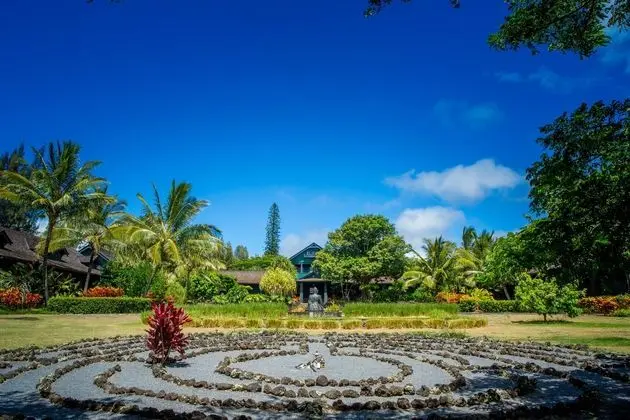Lumeria Maui an Educational Experience - 1