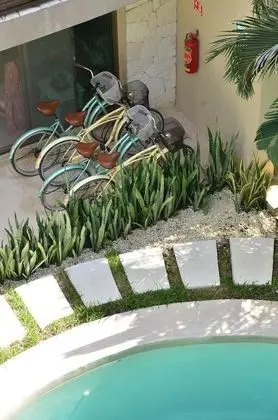 Hotel Luna Llena - Havuz