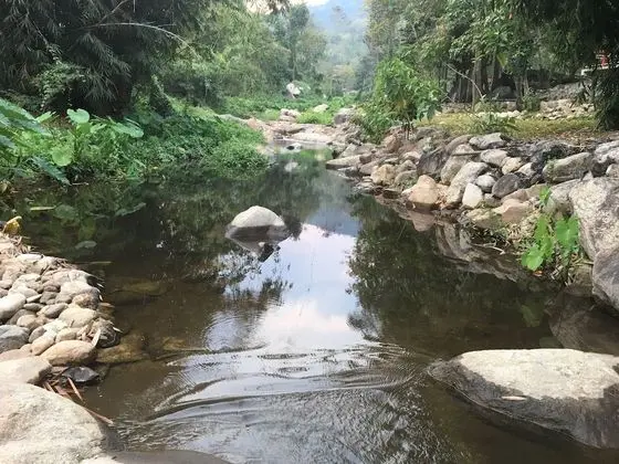 Lundaresort & Orchid - Havuz
