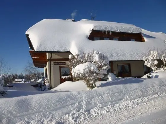 Lush Apartment in Furtwangen near Black Forest with Balcony - Dış Mekan