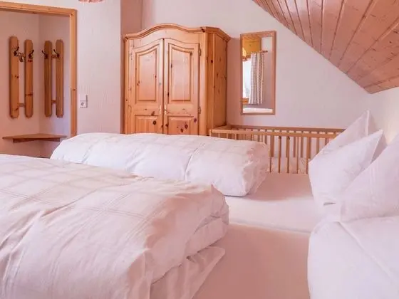 Lush Apartment in Furtwangen near Black Forest with Balcony - İç Mekan