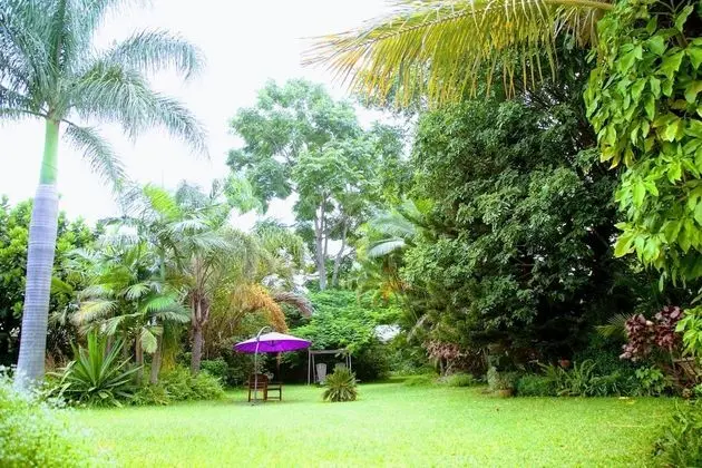 Lush Gardens Apartment 2