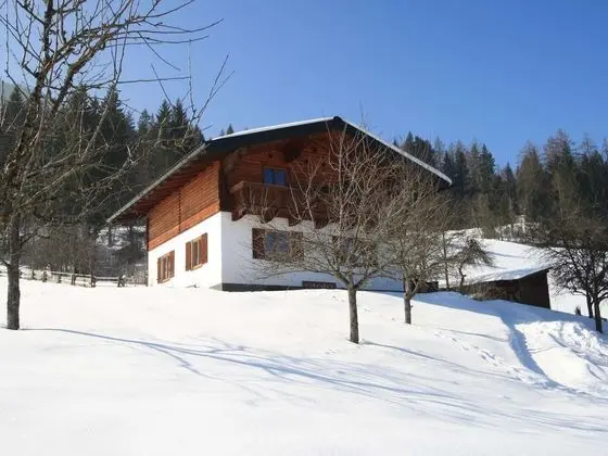 Lush Holiday Home in Hüttau near Ski Area - Dış Mekan