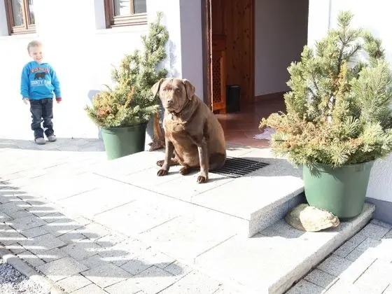 Lush Holiday Home in Hüttau near Ski Area - İç Mekan