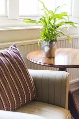 Luttrell Arms Hotel - Oda