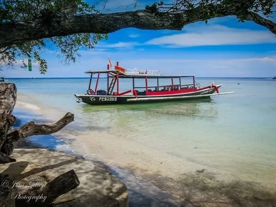 Lutwala Dive and Bungalows