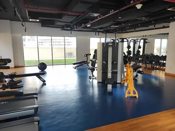 Lux BnB Bellevue Tower - Fitness