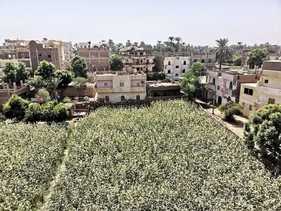 Luxor Bella Vista Apartments